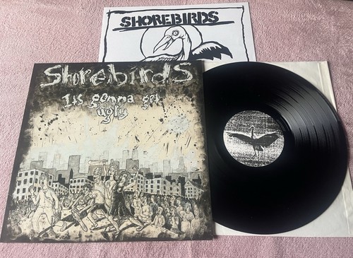 Shorebirds its gonna get - gonna,