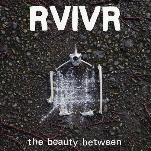 The beauty between limited - between, (limited